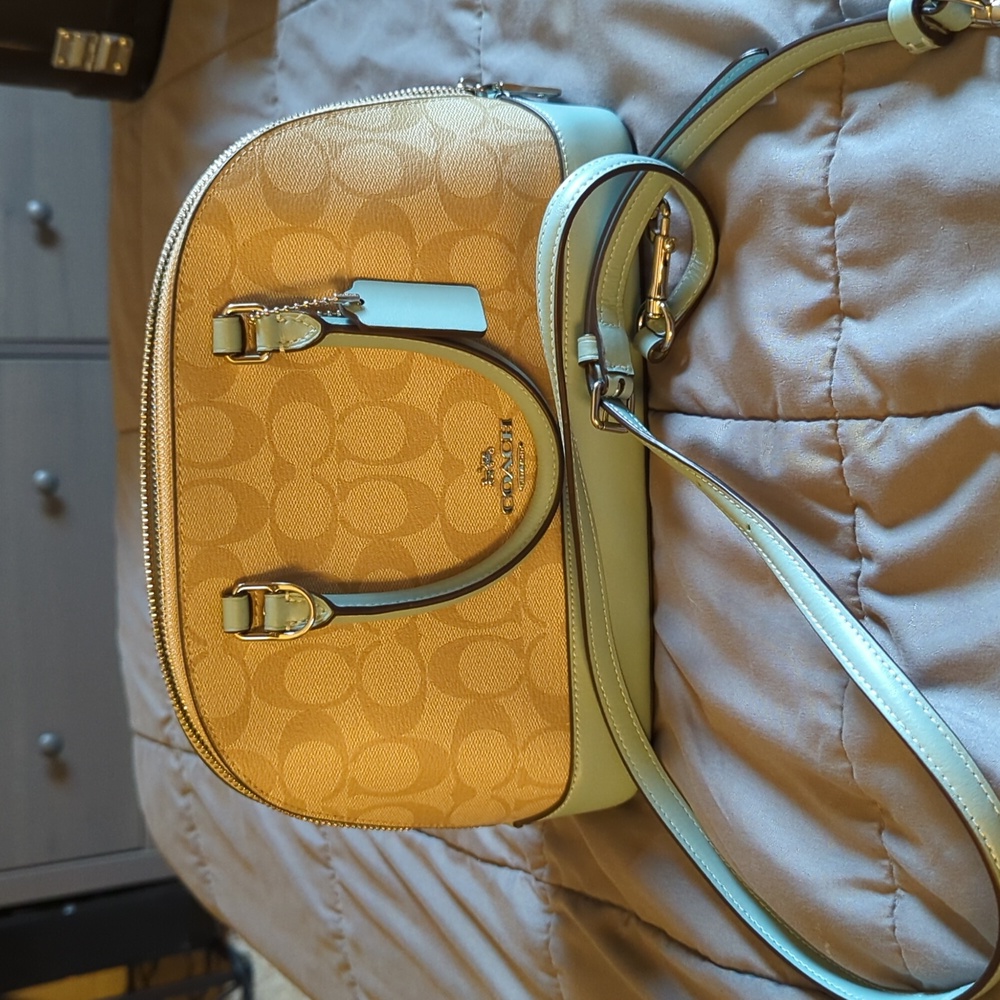 Coach HandBag Baby Blue & Baige